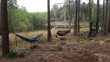 Hammock camping New Forest