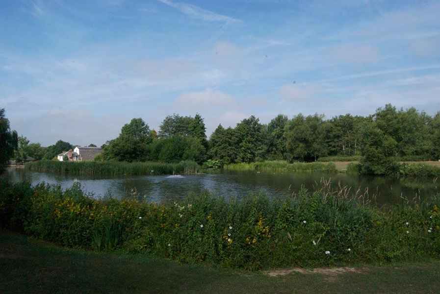Coltsford Mill - Mill Pond