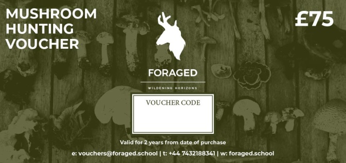 Foraged Mushroom Hunting Voucher 2025