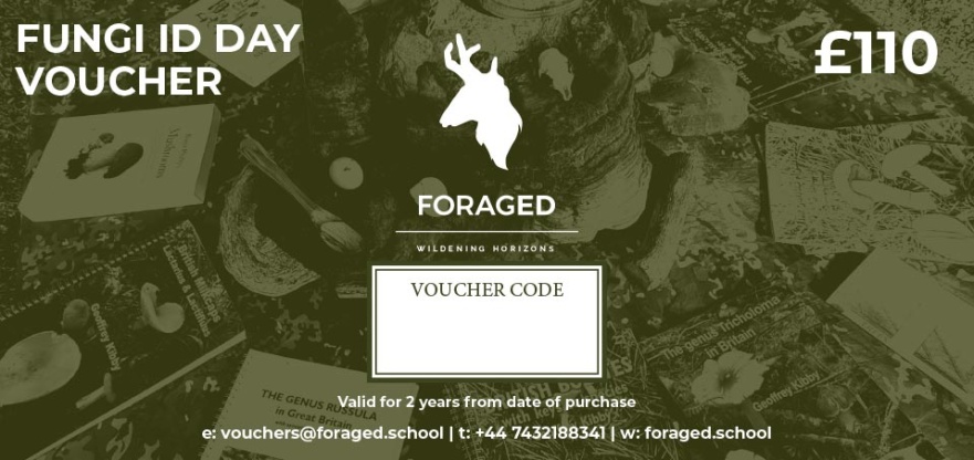 Foraged Fungi ID Day Voucher 2025