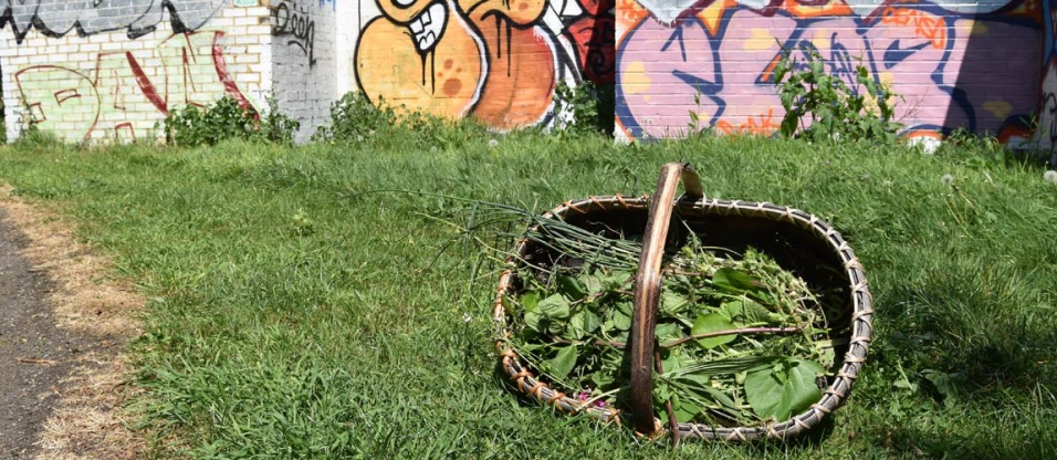 wild-food-walk-summer-se19