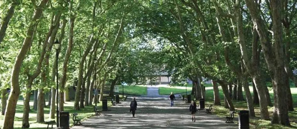 LONDON: Wild Food Walk – SE19 – Winter