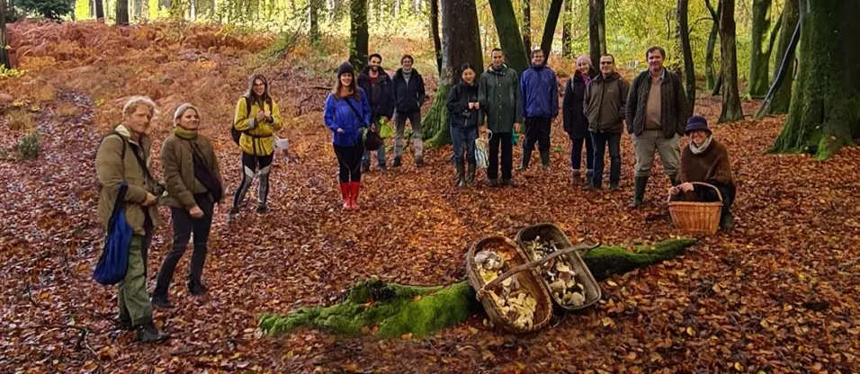 Mushroom Hunting - Late Autumn 2
