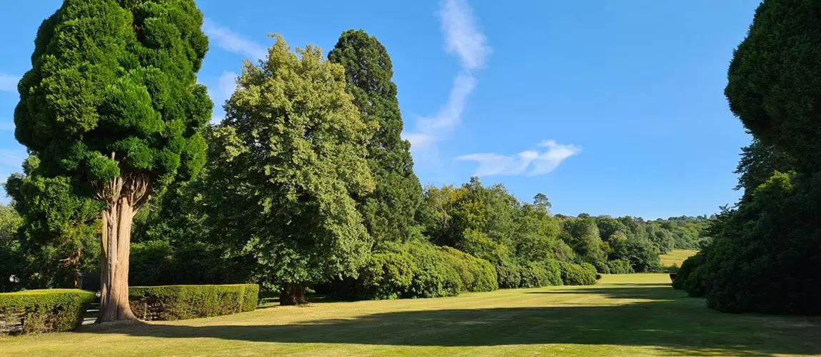 Foraged Kidbrooke Park